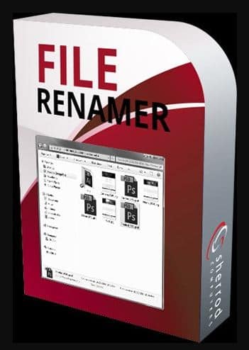 File Renamer Basic Software