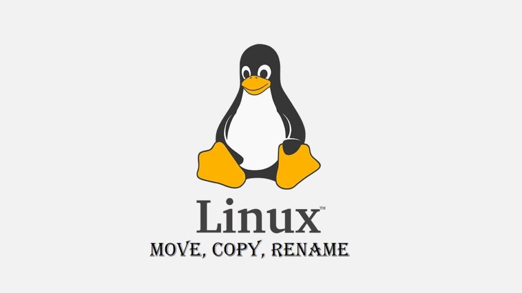How to Copy, Move and Rename Files in Linux (Step-by-Step Guide)