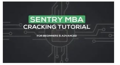 How to Use Sentry MBA (Guide)
