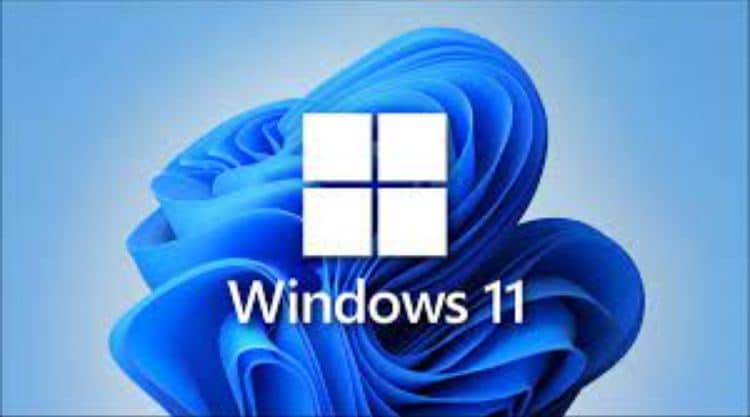 Windows 11 Acitvation Support