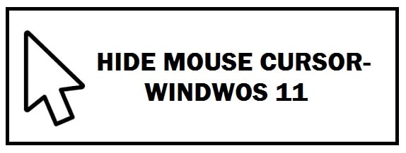 How To Hide Mouse Cursor in Windows 11 (Ultimate Guide)