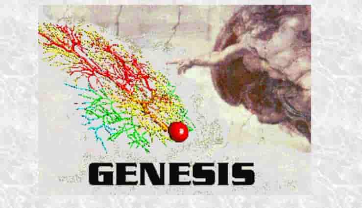 GENESIS Neural Simulator